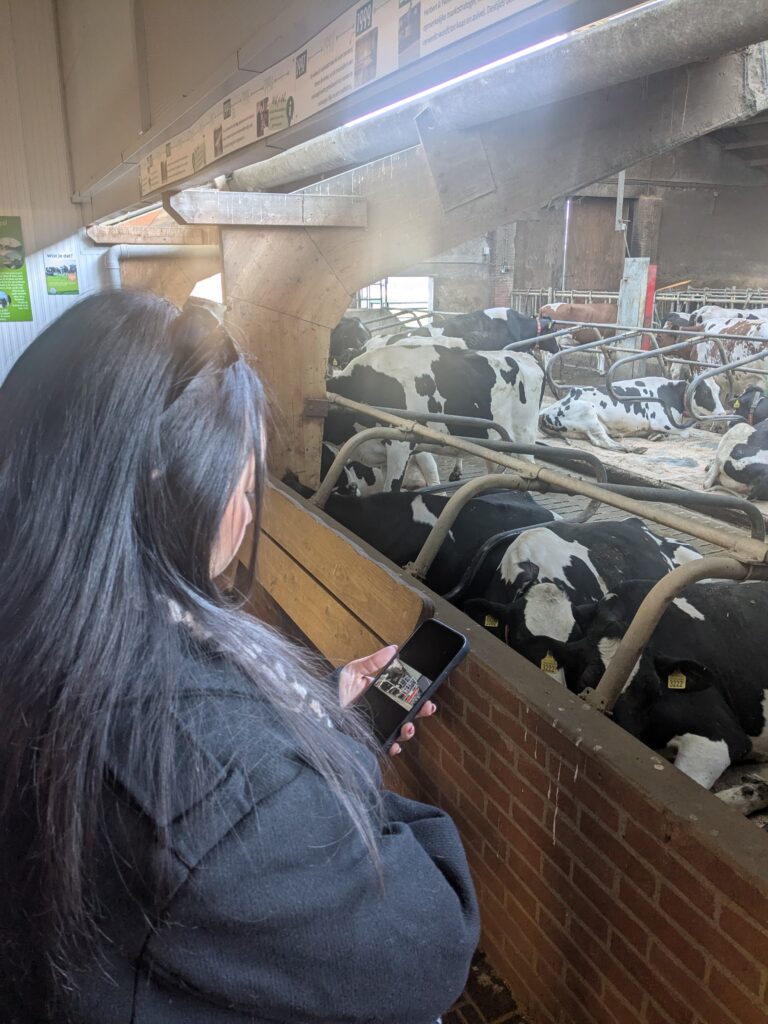 Afbeelding van WhatsApp op 2025-04-22 om 11.08.05_95c5eefe